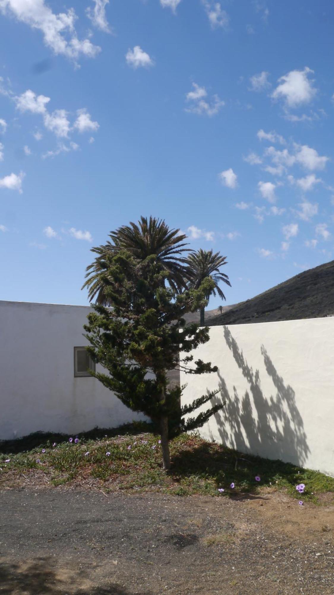 Villa Casa Olga Máguez Exterior foto
